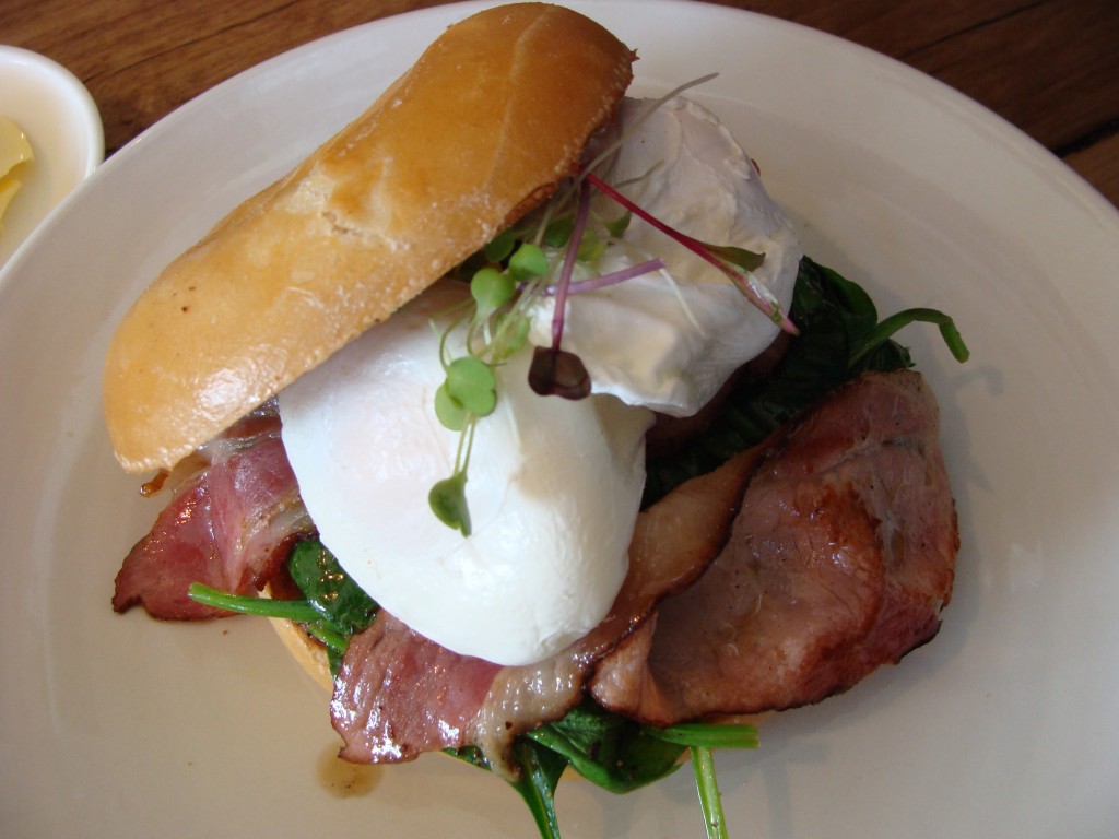 Bagel with poached eggs, bacon and hollandaise Pint of Milk