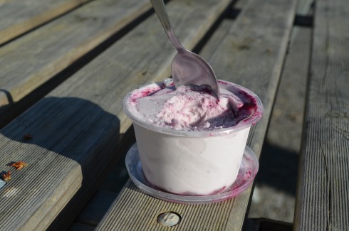 blueberry ice cream Bright Berry Farms
