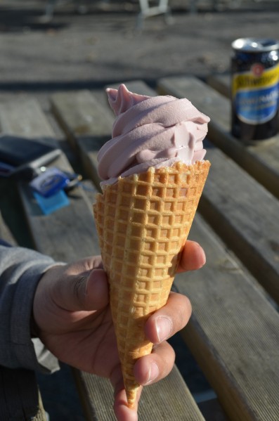 ice cream at Bright Berry Farms