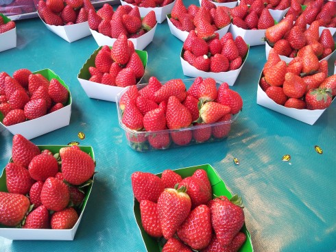 strawberries at Rue Mouffetard market